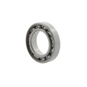 Deep groove ball bearings S6205 -HLC