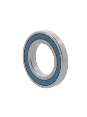 Deep groove ball bearings 6006 -2RZTN9/HC5C3WT