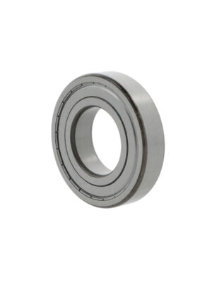 Deep groove ball bearings 16004 -2Z