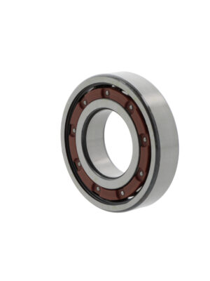Deep groove ball bearings 6309 -TB-P6-C3