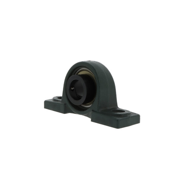 Plummer block housing units M-AELP210 D1