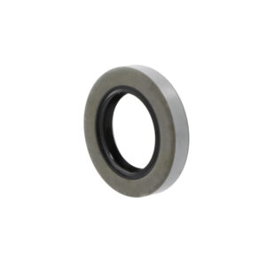 Oil seals W160-190-15 B2SL