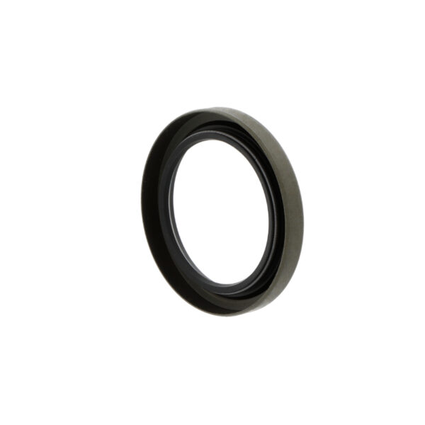 Oil seals W70-100-10 B1 Oil seals W70-100-10 B1