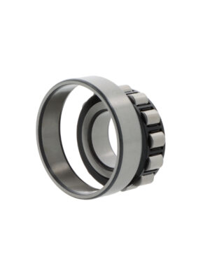 Cylindrical roller bearings N313 ECP/C3
