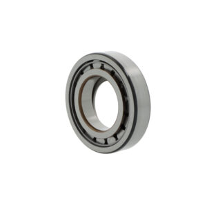 Cylindrical roller bearings NUP309 ECJ/C3