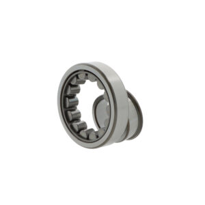 Cylindrical roller bearings NJ407 -C3