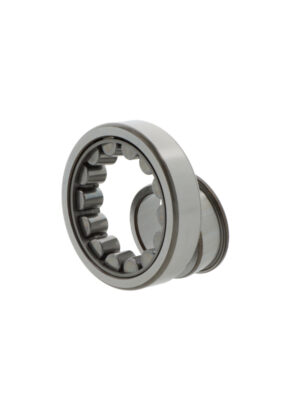 Cylindrical roller bearings NJ205 EW