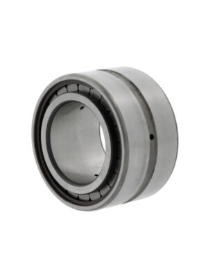 Cylindrical roller bearings SL185013