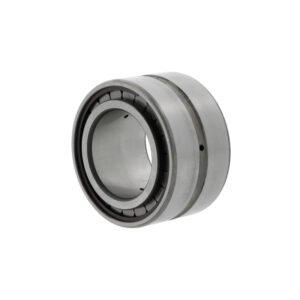 Cylindrical roller bearings SL185006 -C3