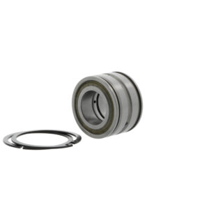 Cylindrical roller bearings SL045034 -D-PP-2NR