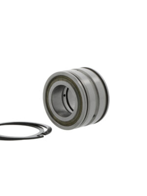 Cylindrical roller bearings SL045026 -D-PP-2NR-C3