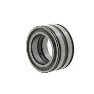 Cylindrical roller bearings SL045004 -PP