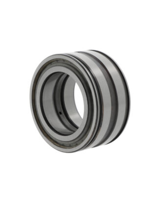 Cylindrical roller bearings SL045015 -PP-C3