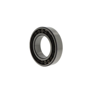 Toroidial roller bearings C2216