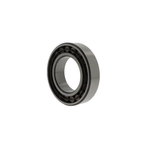 Toroidial roller bearings C2218