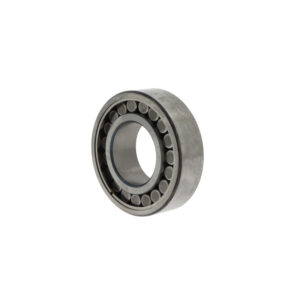 Toroidial roller bearings C2211 V