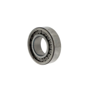 Toroidial roller bearings C6910 V/C3